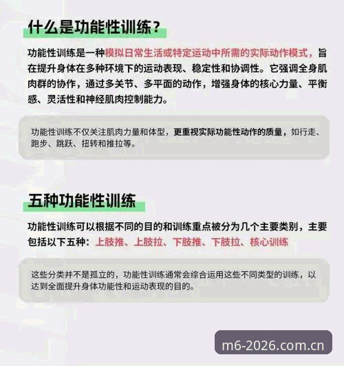M6体育安全快捷使用实用指南——老用户分享2026新版体验与必备知识